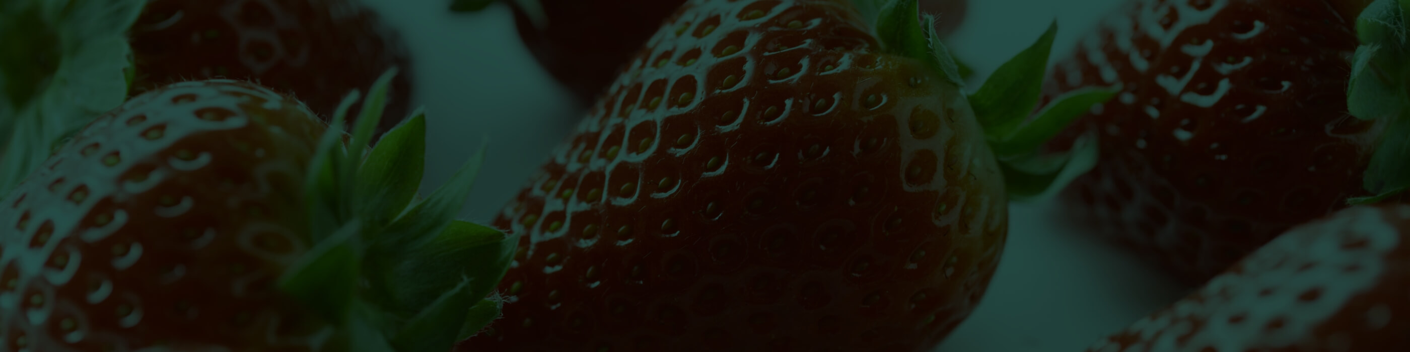 奈良県産の苺の「美味しさ」「魅力」を、日本中、そして世界に発信していきたいと思っています。